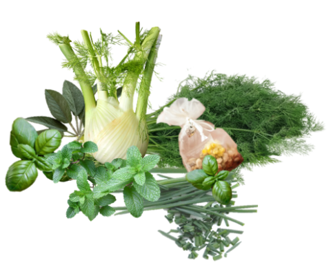 aromatic herbs