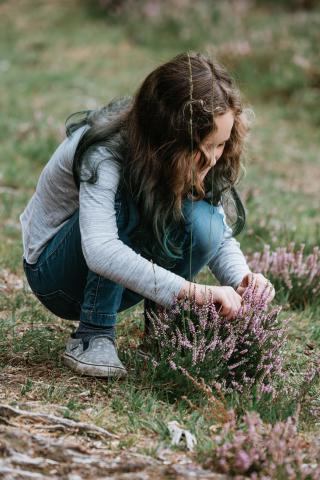 A girl is looking at a plant growing in a field.