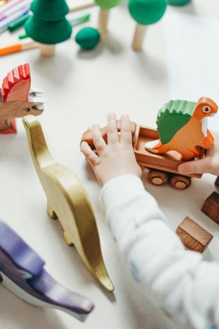 A child plays with wooden dinosaurs, wearing a white shirt.