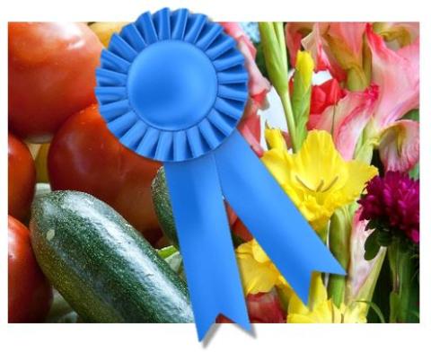 Produce and flowers with blue ribbon