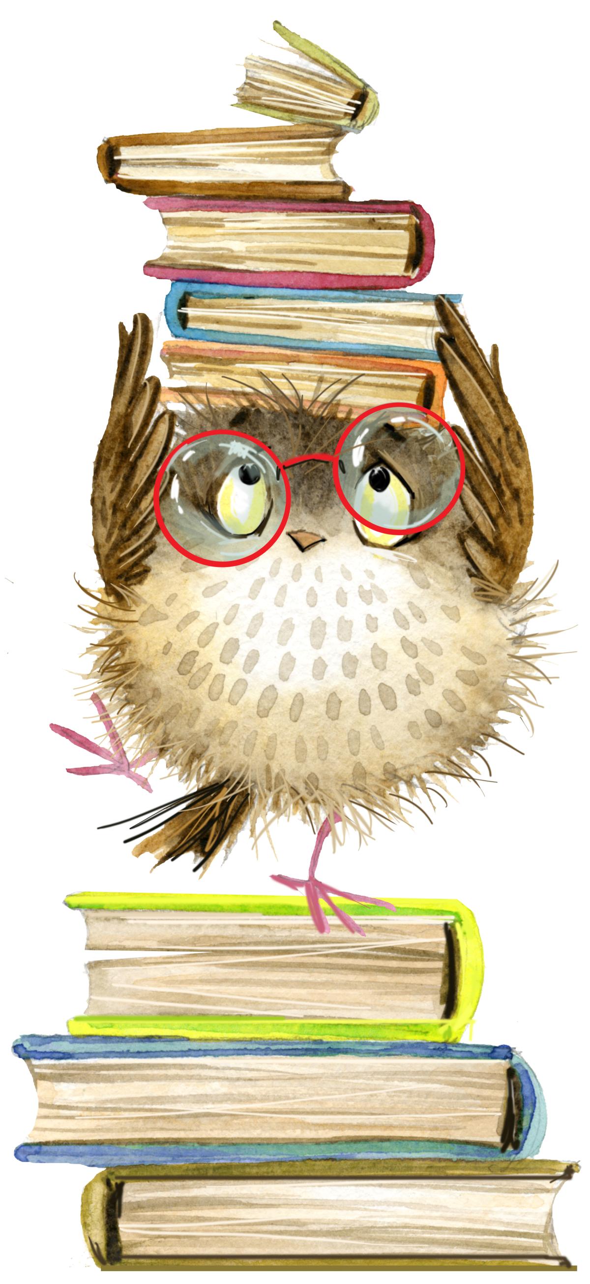 Book Sale Owl Illustration