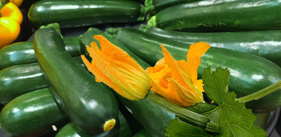 zucchini squash with blossom