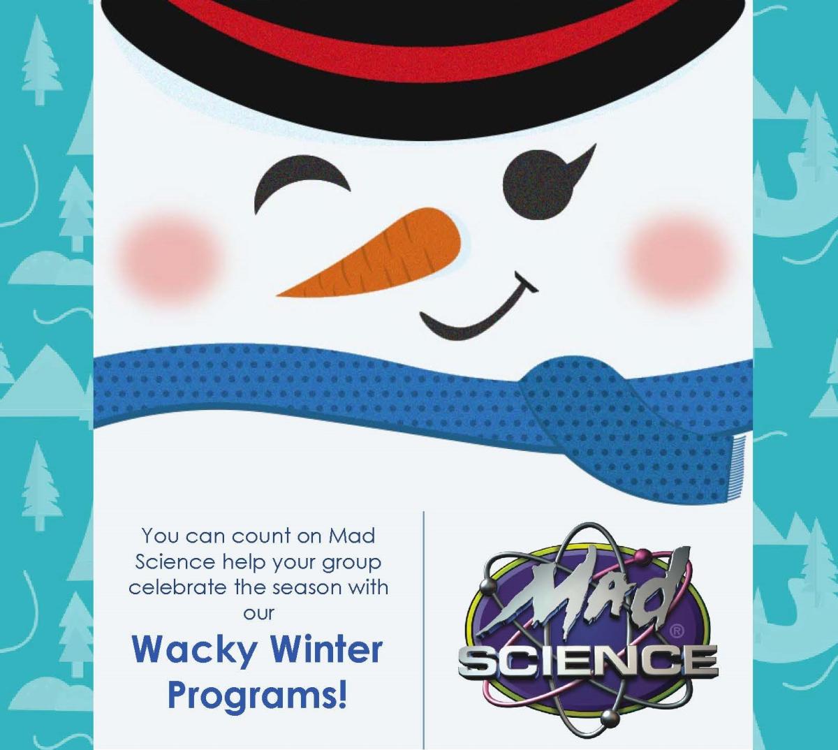 Poster for Wacky Winter Science Show